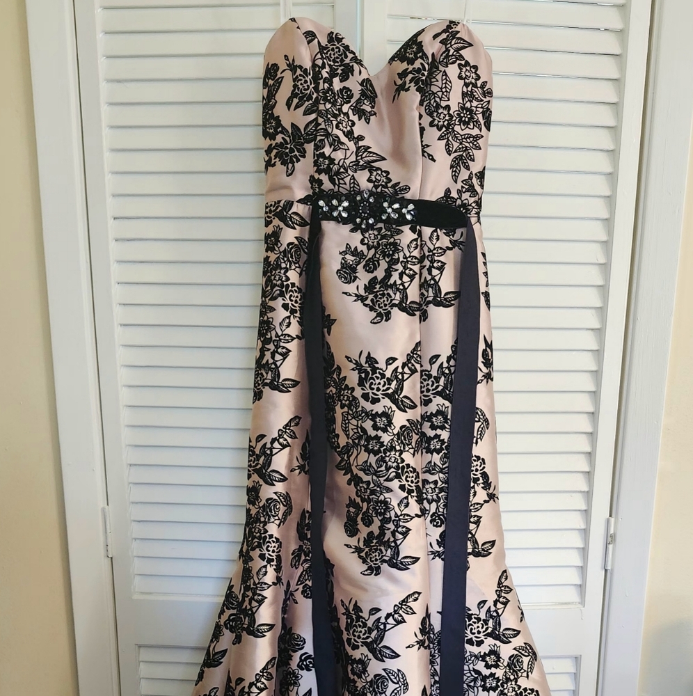 Elegant Blush Pink & Black Floral Ball Gown